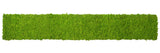Preserved reindeer moss panel - light green 0.5 x 3m self adhesive back