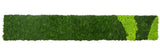 Preserved  reindeer moss panel - patterned light green and forest green 0.5 x 3m self adhesive back