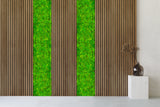 Preserved reindeer moss panel - light green 0.5 x 3m self adhesive back