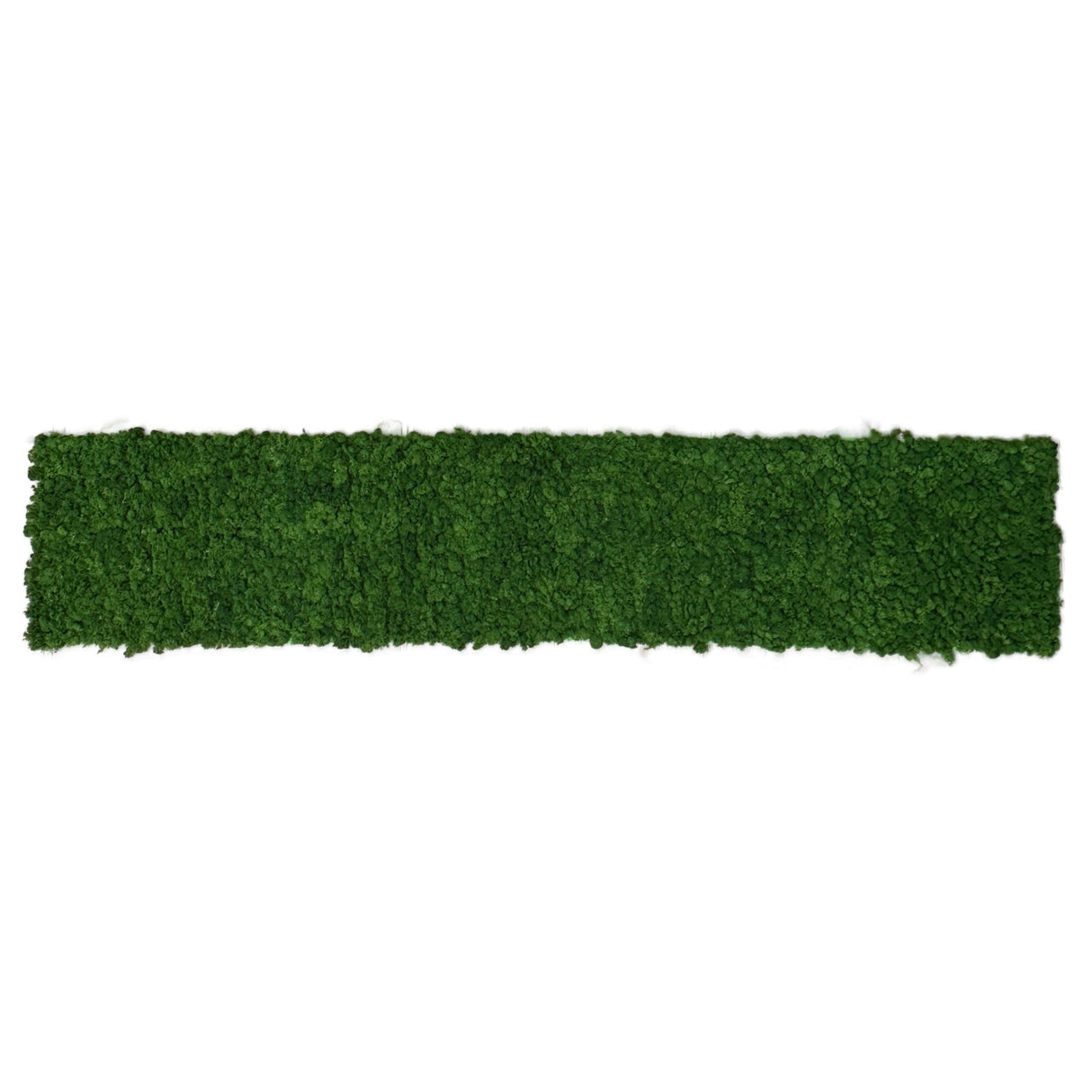 Premium preserved reindeer moss panel - Army  green 0.5 x 2.5m