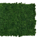 Premium preserved reindeer moss panel - Army  green 0.5 x 2.5m
