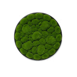Artificial bun moss wall circular art panel aluminium Black - 50cm