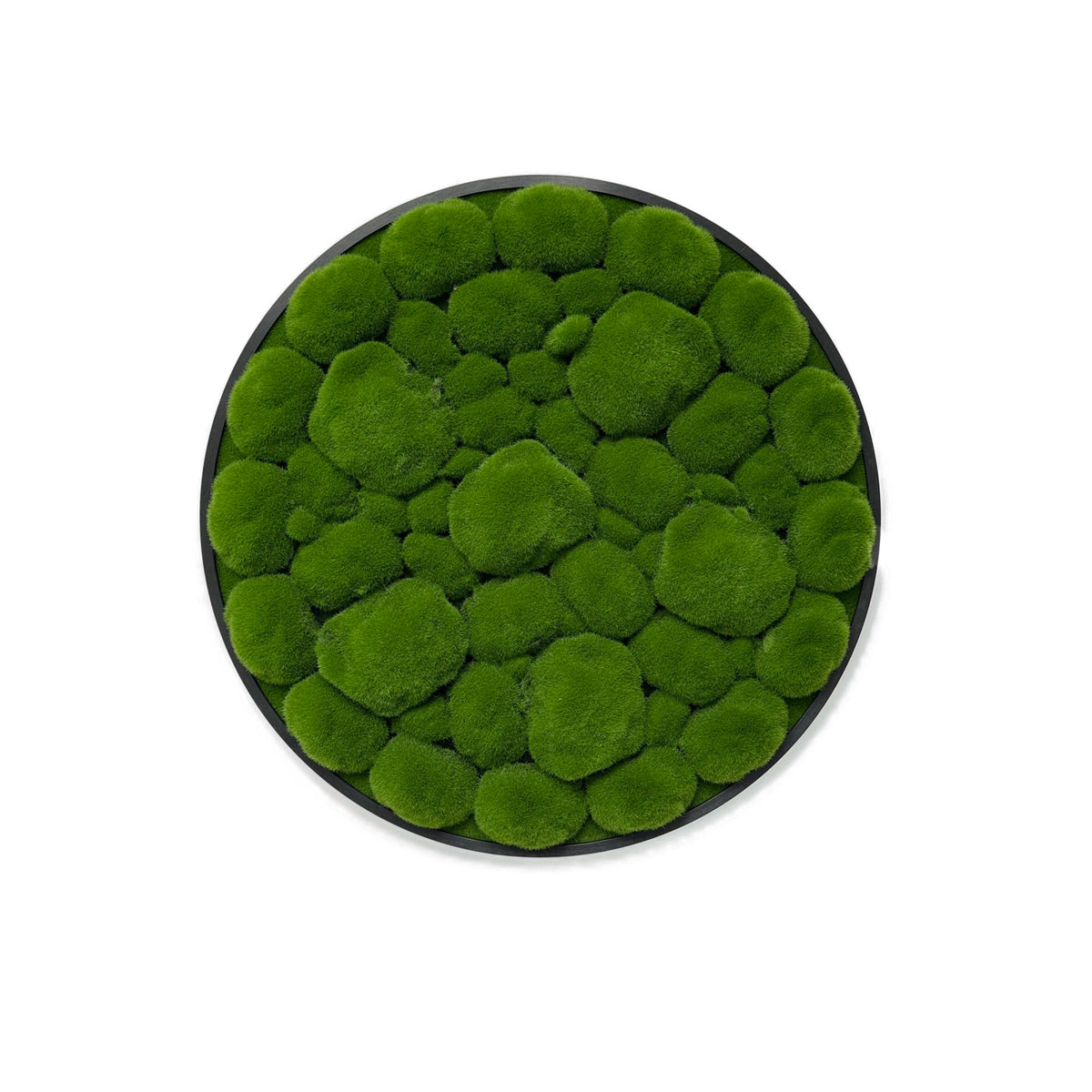Circular artificial moss wall panel with dense dark green bun texture and black rim.