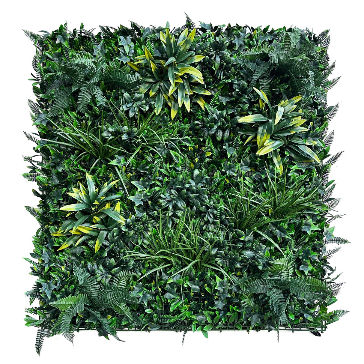 FR Artificial green wall panel with variegated foliage ivy palms grasses and ferns 100x100 cm