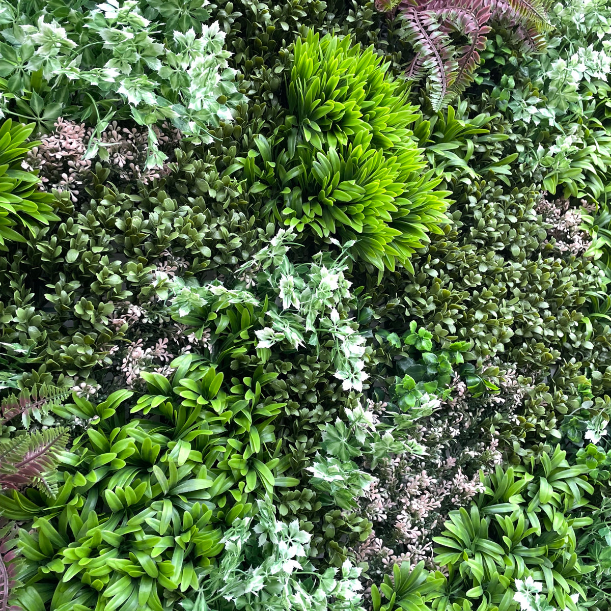 Artificial wall panel close-up: bright green leaves with white tips and burgundy stems