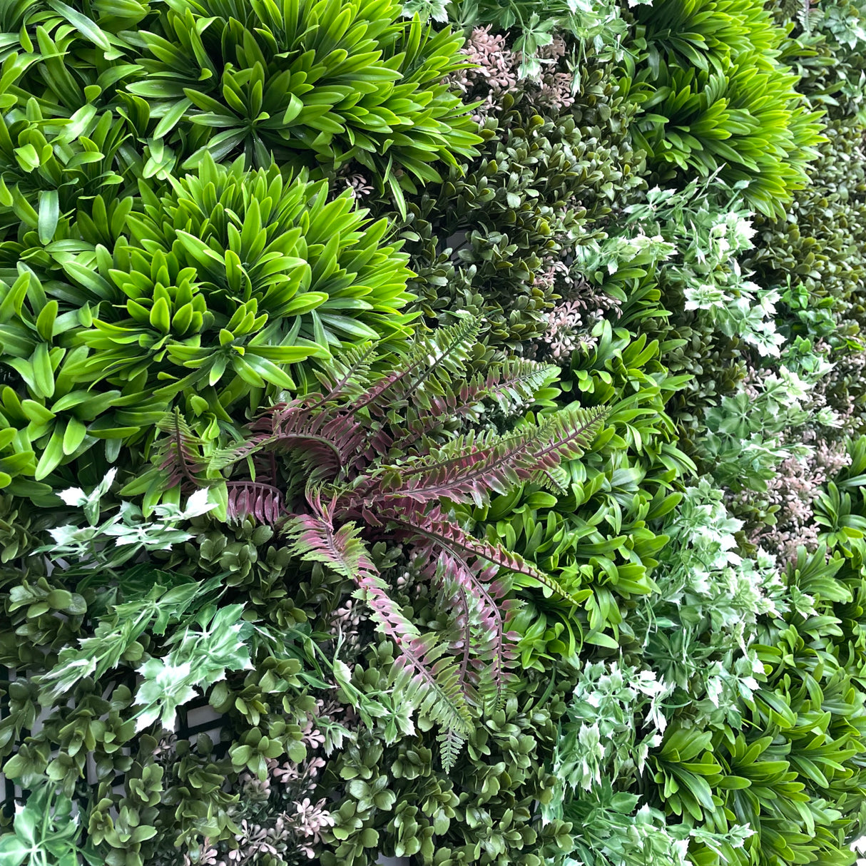 GW47 Artificial green wall panel with mixed green, burgundy and white tipped trailing plants 100x100 cm