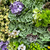 Artificial succulent green wall panel with pink and yellow flowers 100x100 cm