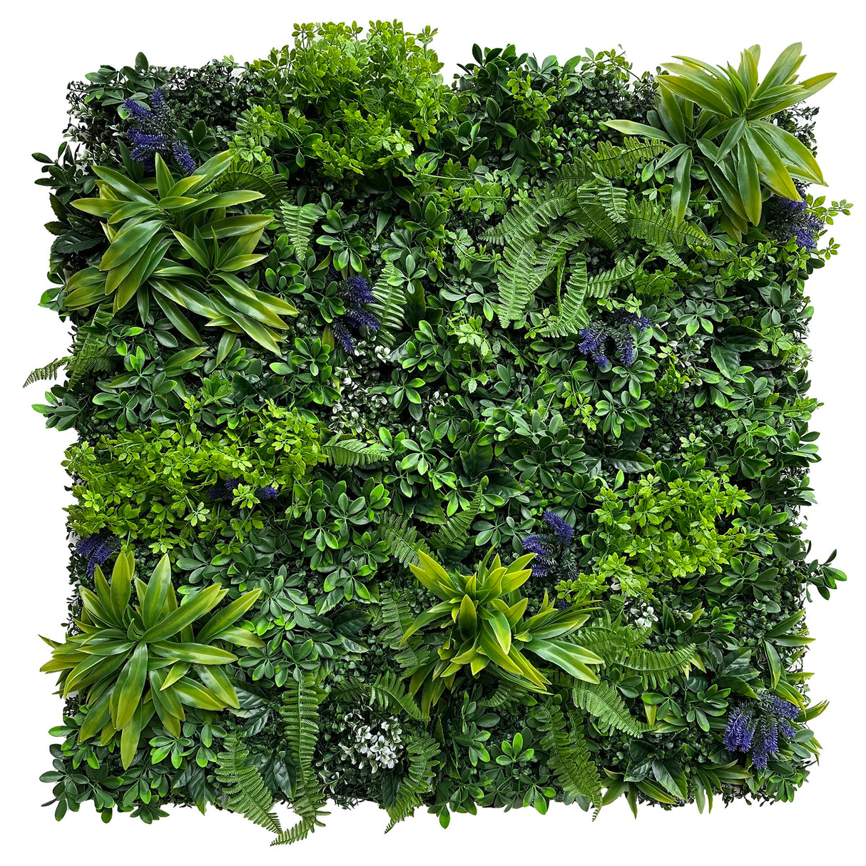 Combo of 3 x  artificial green wall panel with with scheffleras dracaenas and purple speedwells   100x100 cm