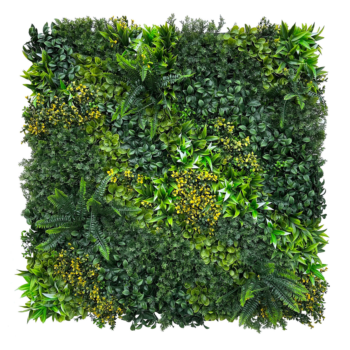 Combo of 3 x  artificial green wall panel with variegated green foliage small yellow leaves and oyster plants 100x100 cm