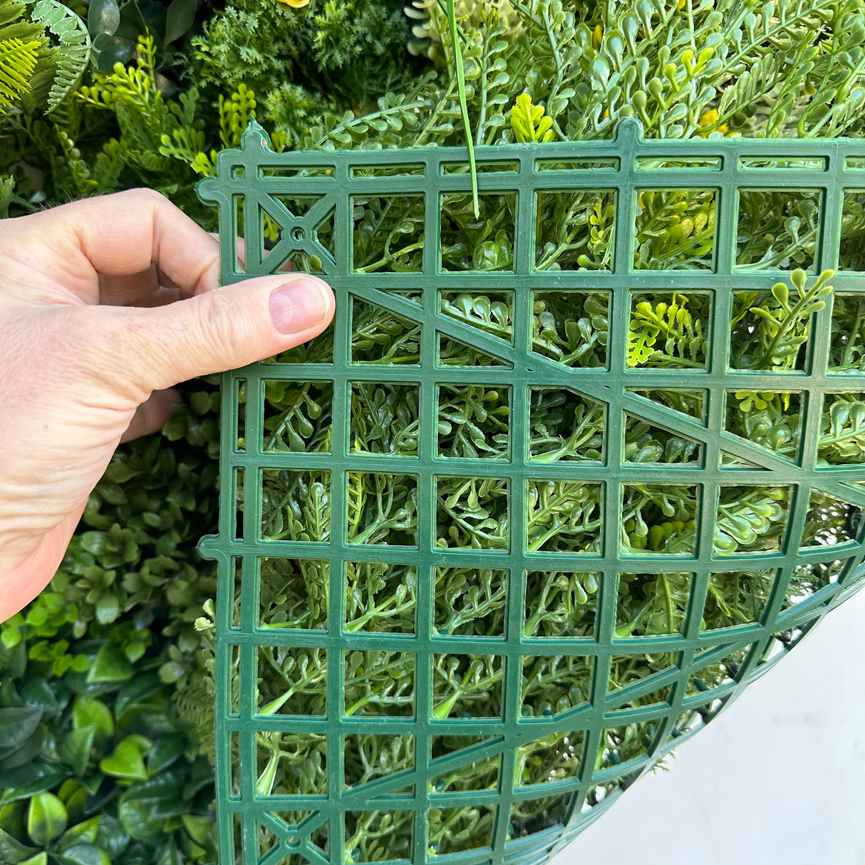 Combo of 3 x 1m2 artificial green wall panel with variegated mixed green red white yellow foliage