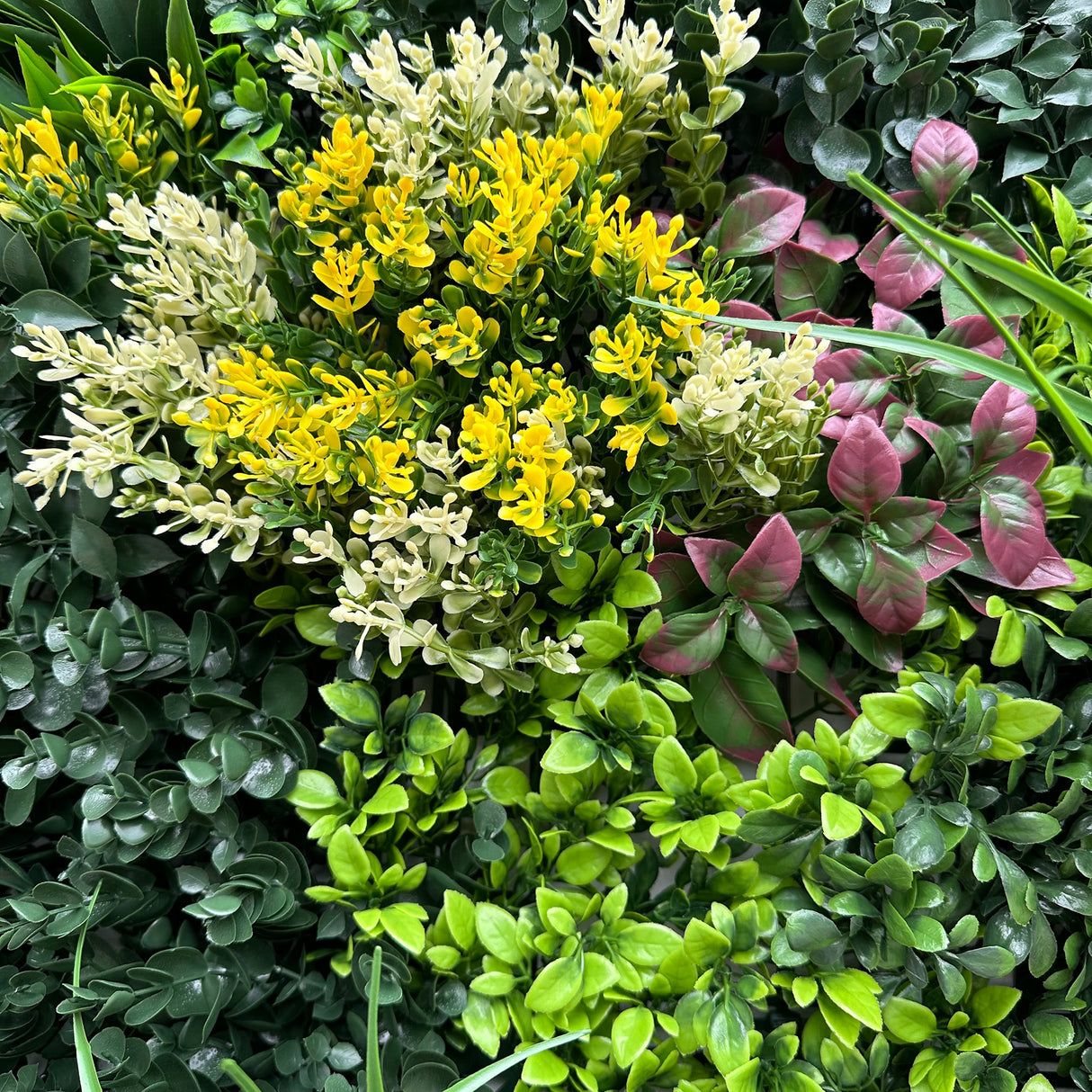 Combo of 3 x 1m2 artificial green wall panels with variegated mixed green red white yellow foliage
