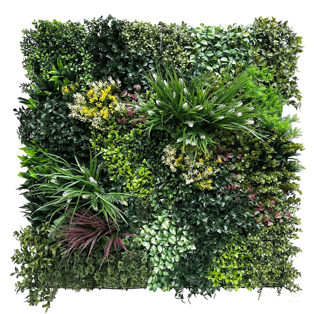 Combo of 3 x 1m2 artificial green wall panels with variegated mixed green red white yellow foliage