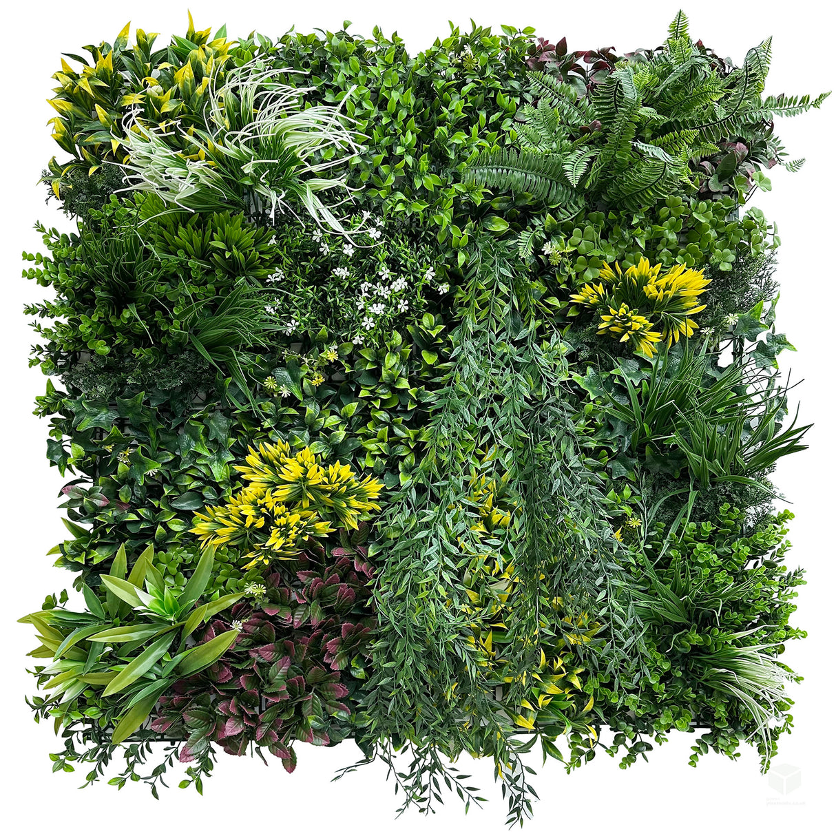 Combo of 3 x 1m2 artificial green wall panels with variegated mixed green red white yellow orange foliage