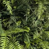 Combo of 3 x 1m2 total 3m2 FR artificial tropical green wall panels with green foliage