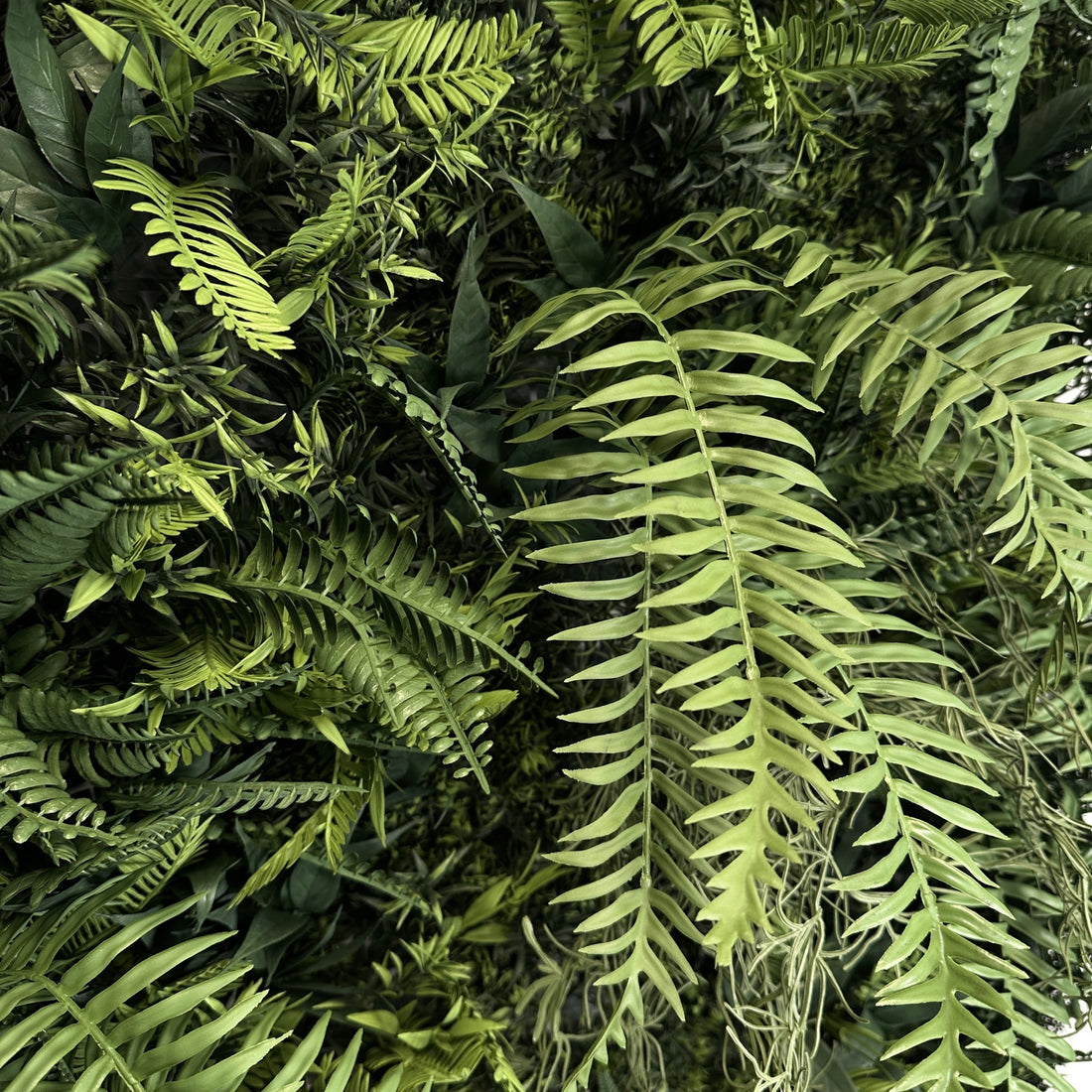 Artificial tropical jungle wall foliage panel close-up, mixed green fern leaves