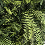 Combo of 3 x 1m2 total 3m2 FR artificial tropical green wall panels with green foliage