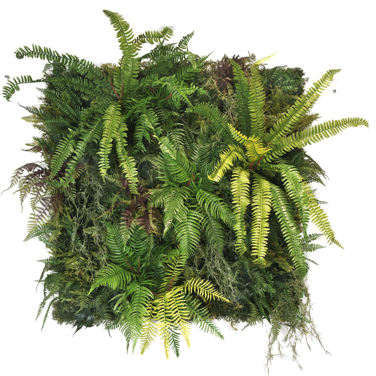Artificial tropical green wall panel - 100x100cm - GWTROP