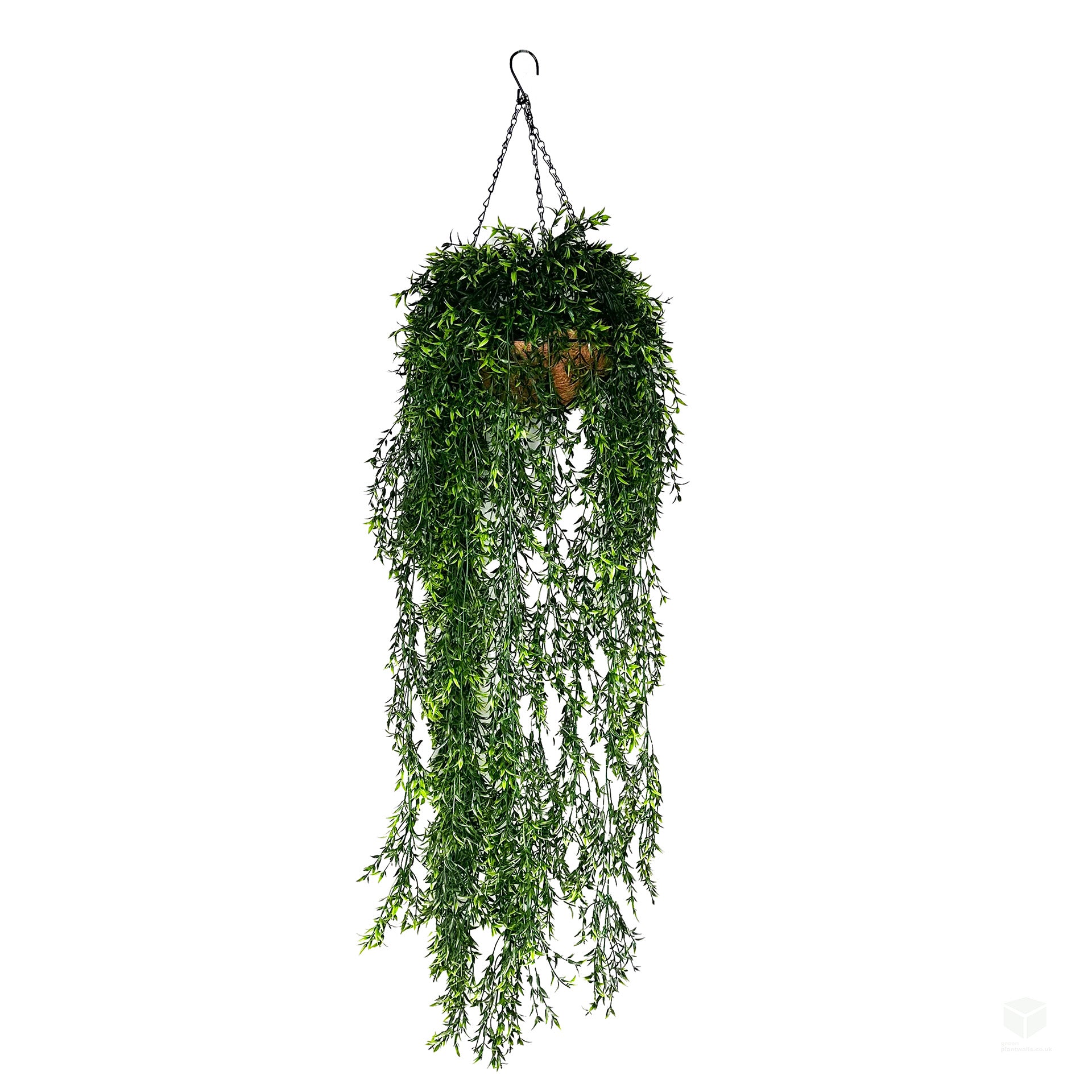 Artificial trailing ruscus in hanging basket, dark green foliage, 120cm