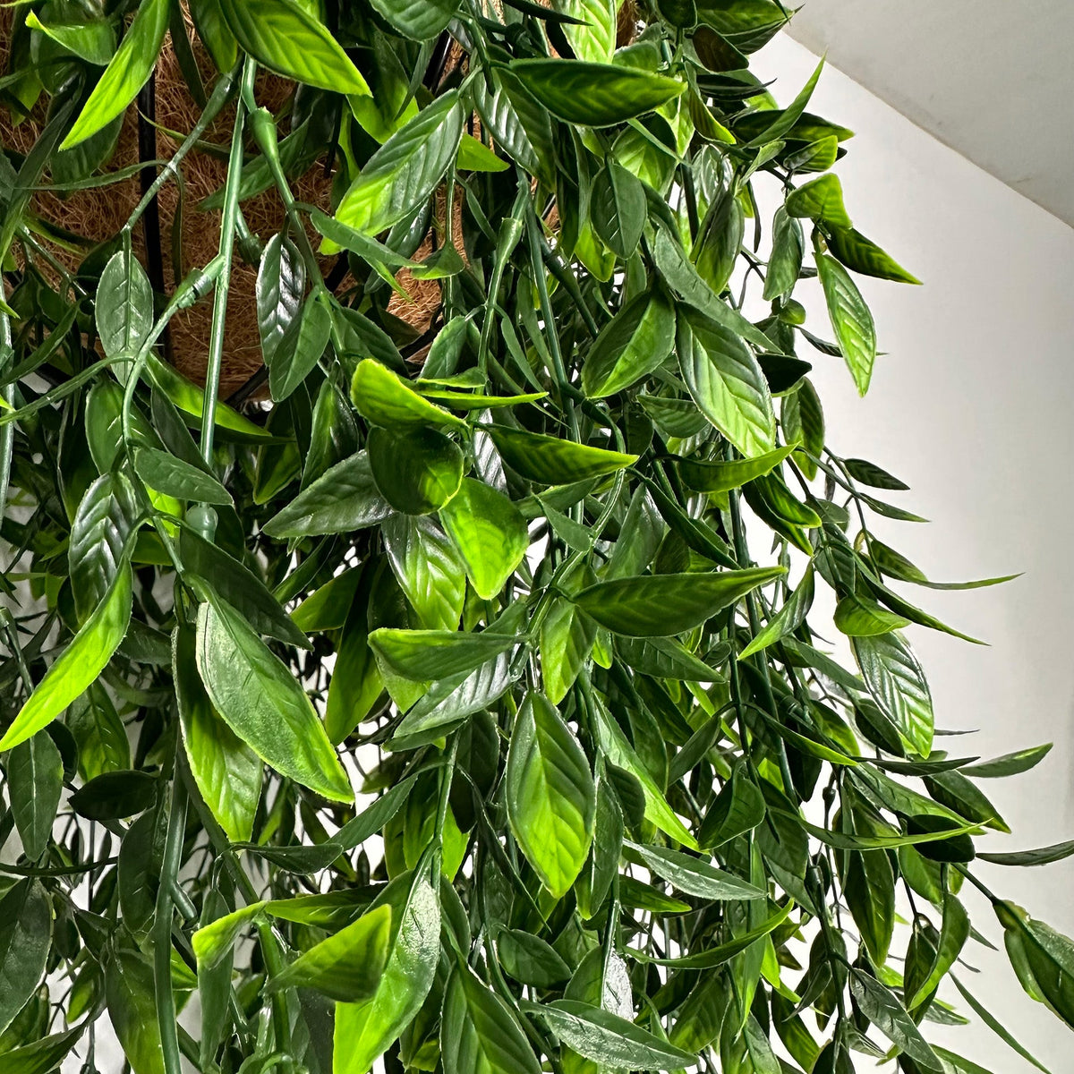 Artificial trailing bayberry plant close-up of glossy green leaves and stems