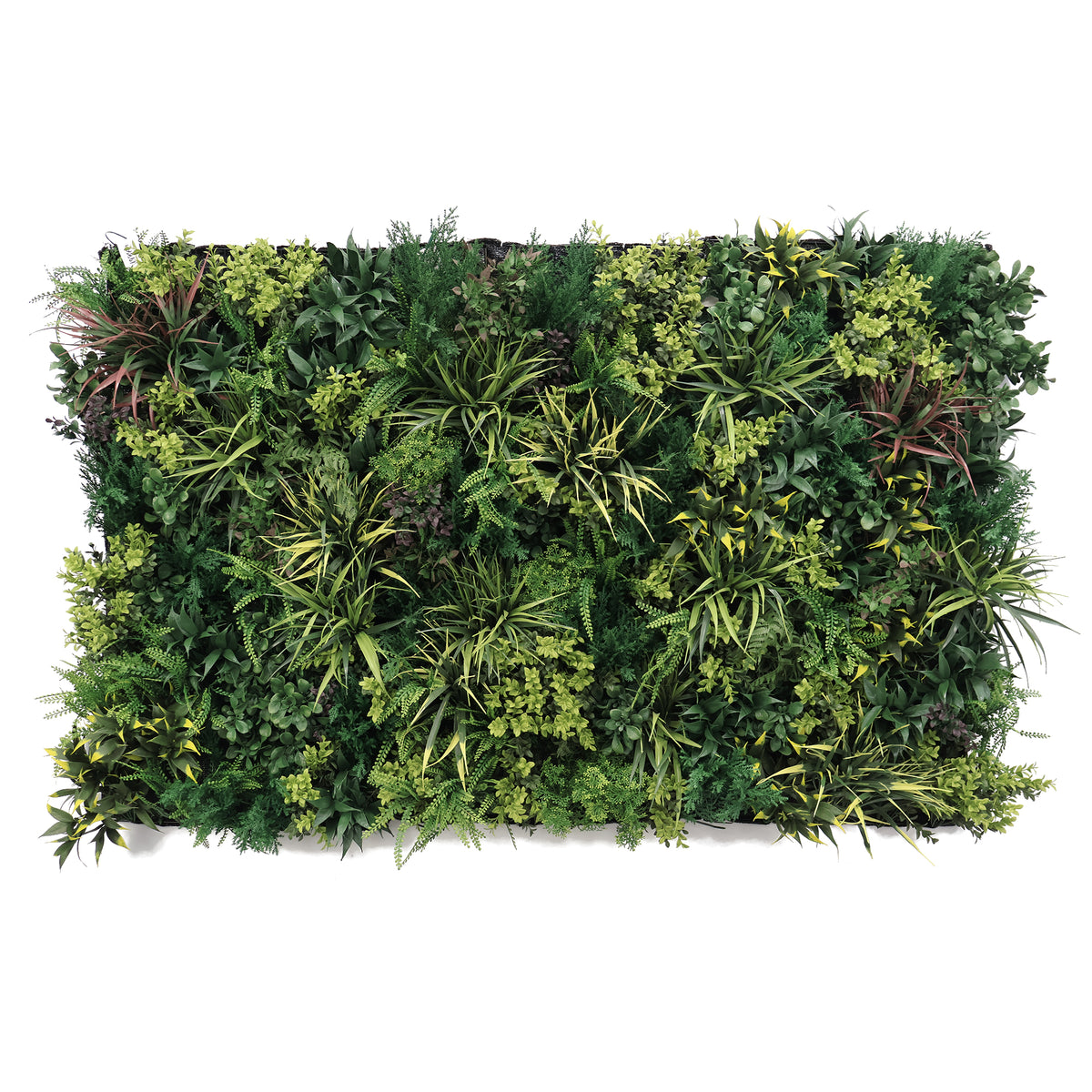 Artificial green wall panel with dense mixed-leaf foliage, rectangular 100x50 cm
