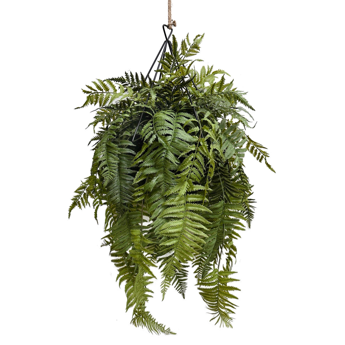 Artificial trailing fern kokedama in black metal hanging frame, lush green fronds