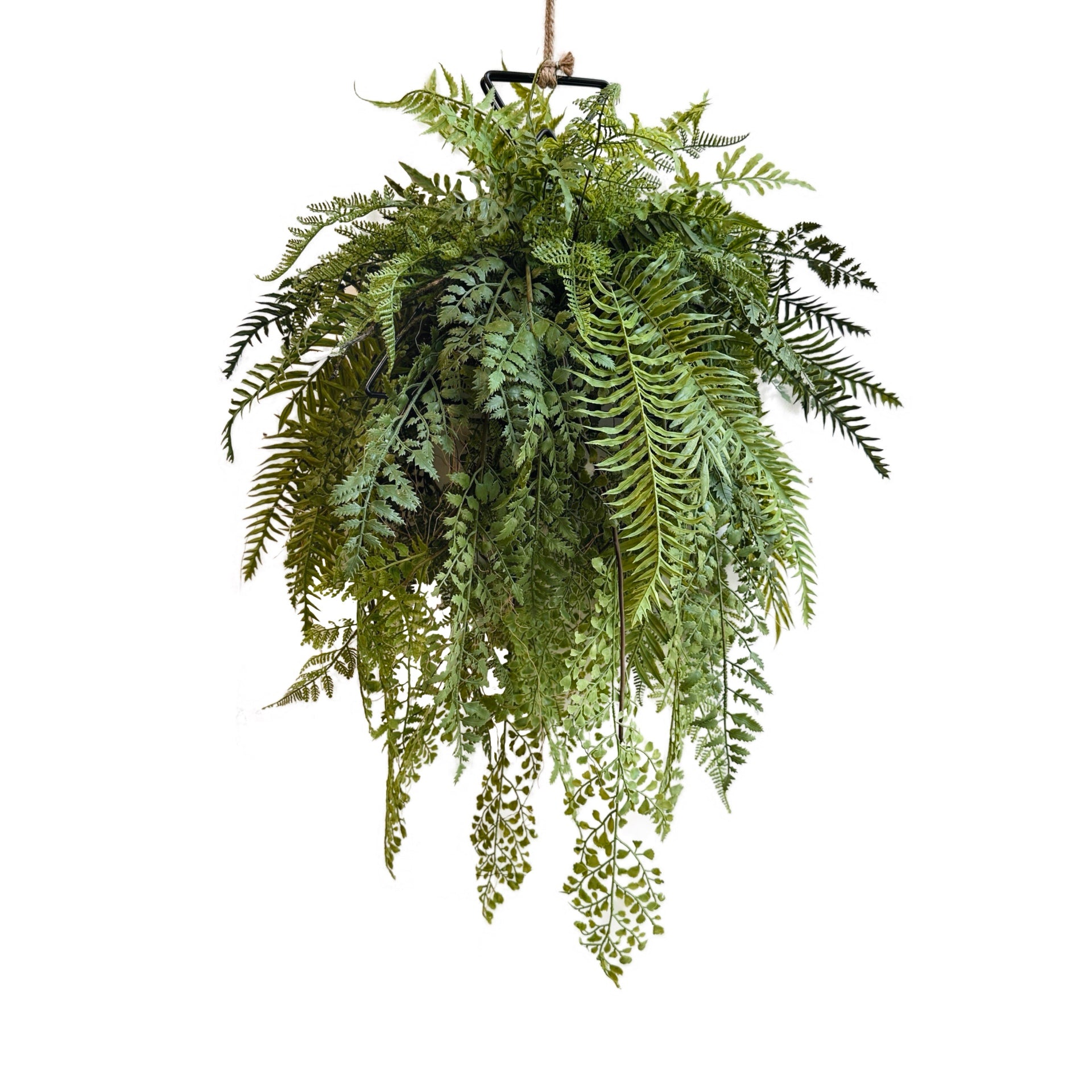 Artificial trailing fern kokedama in a black metal hanging frame