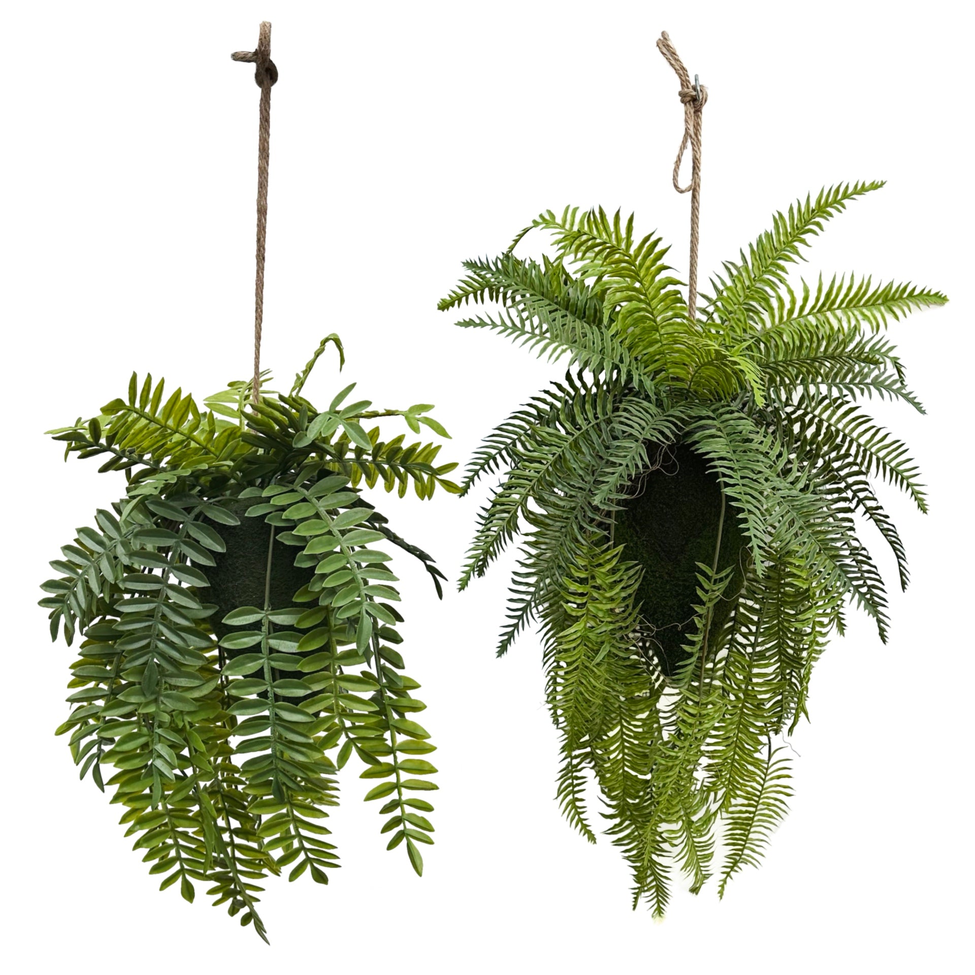 Set of 2 artificial trailing fern kokedama, hanging green fern fronds on twine