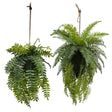 HP02 Set of 2 x artificial trailing fern kokedama