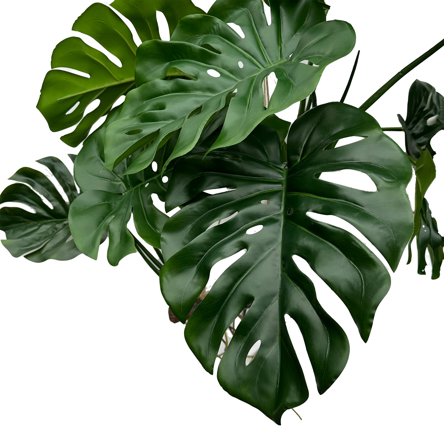 Artificial large hanging branched monstera with trailing roots 120cm w ...