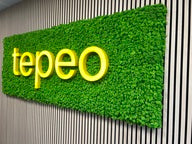 Preserved reindeer moss panel - light green 0.5 x 3m self adhesive back