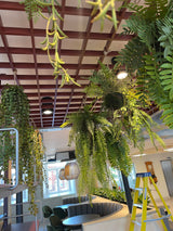 Artificial trailing pheasant tail fern kokedama in a black metal hanging frame 66cm wide 110cm height