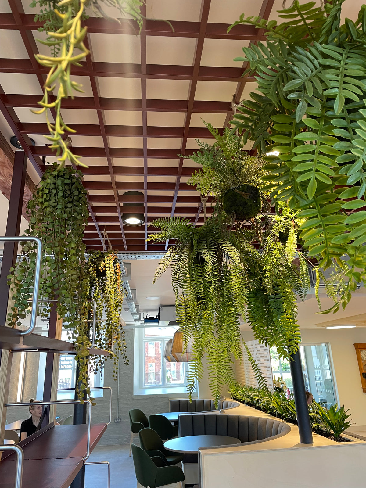 Artificial hanging fern kokedamas with moss balls and cascading green fronds