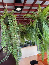 Artificial trailing pheasant tail fern kokedama in a black metal hanging frame 66cm wide 110cm height