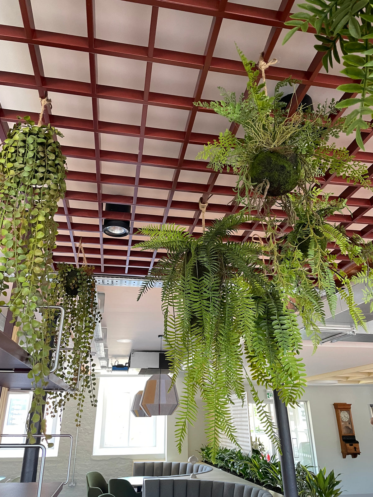 Artificial hanging fern kokedamas with twine loops and dense green fronds