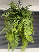 Artificial trailing pheasant tail fern kokedama in a black metal hanging frame 66cm wide 110cm height