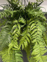 Artificial trailing pheasant tail fern kokedama in a black metal hanging frame 66cm wide 110cm height