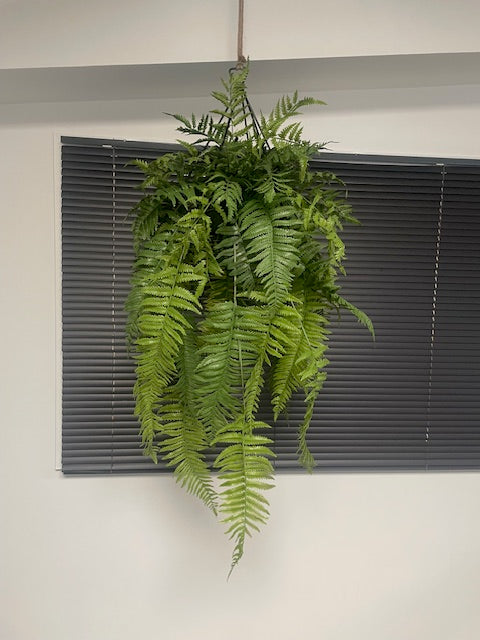 Artificial trailing pheasant tail fern kokedama in a black metal hanging frame 66cm wide 110cm height