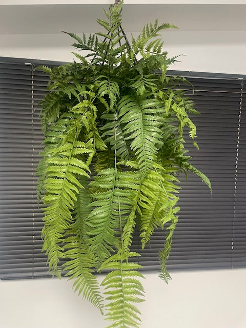 Artificial trailing pheasant tail fern kokedama in a black metal hanging frame 66cm wide 110cm height