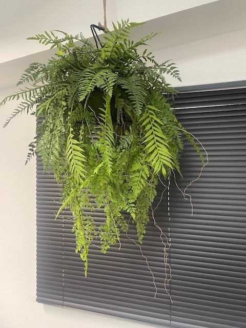 Artificial trailing fern kokedama in a black metal hanging frame 60cm wide 106cm height