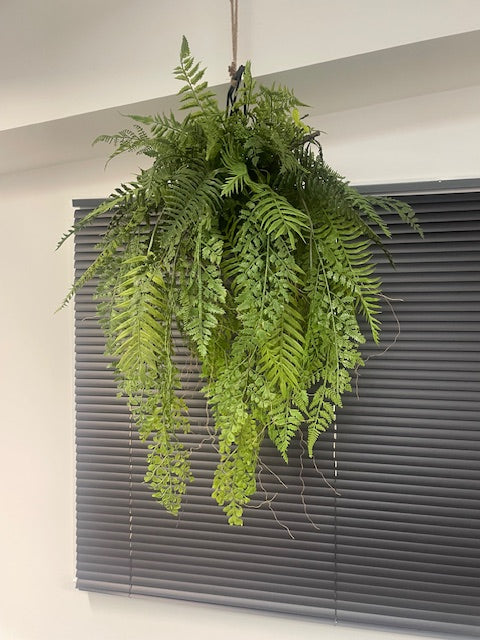 Artificial trailing fern kokedama in a black metal hanging frame 60cm wide 106cm height