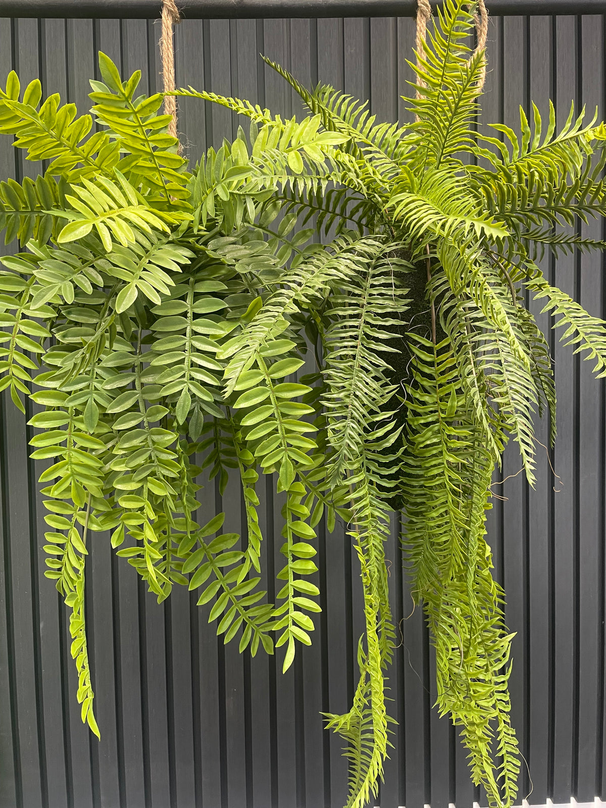 Artificial trailing fern kokedama with long trailing green fern fronds on twine