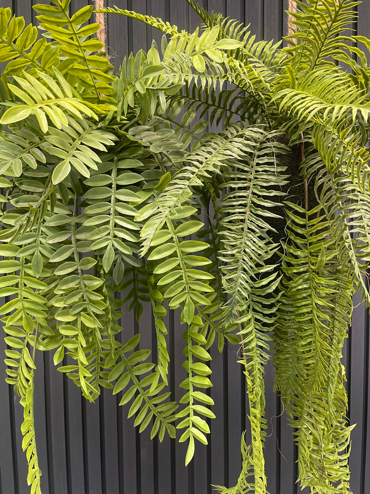 Artificial trailing fern kokedama with dense green fern fronds and twine loop