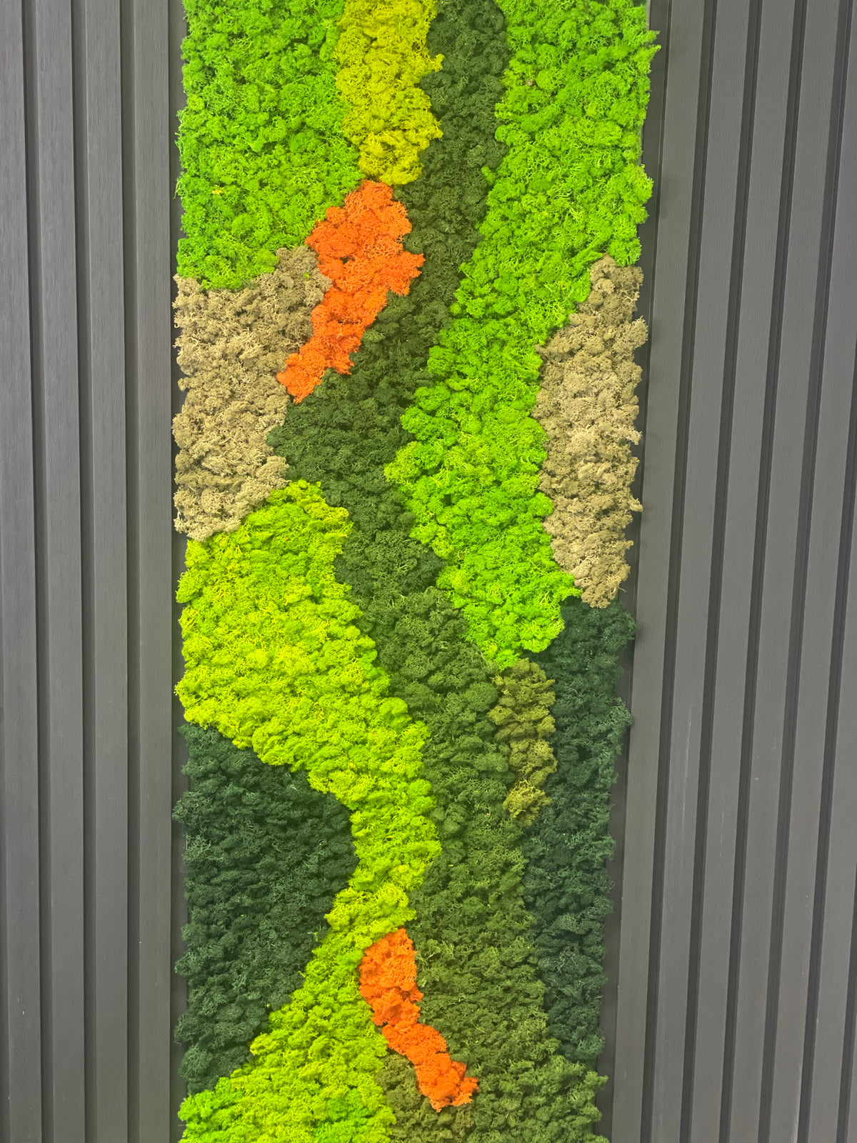 Preserved reindeer moss panel with lime green, dark green, beige bands, and orange moss marks.