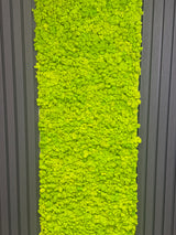 Premium preserved reindeer moss - light green 0.5 x 3m self adhesive panel