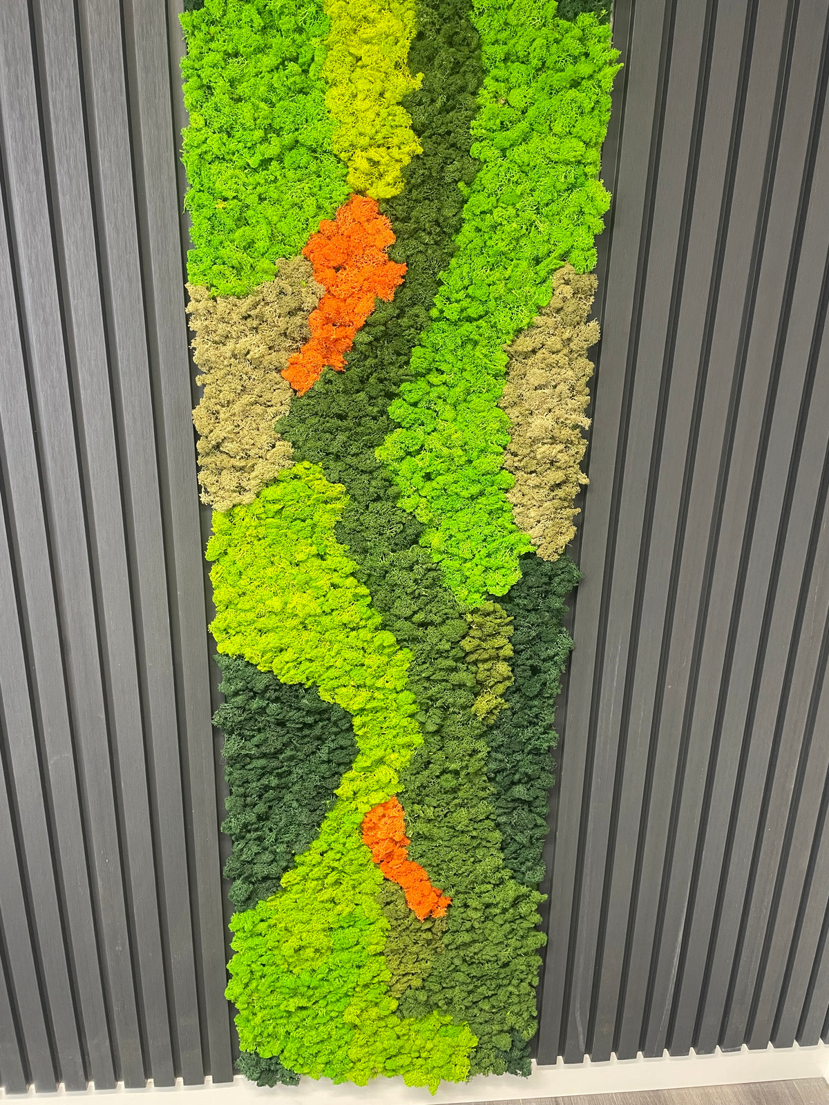 Preserved reindeer moss panel with alternating lime green waves, beige highlights, and orange patches.