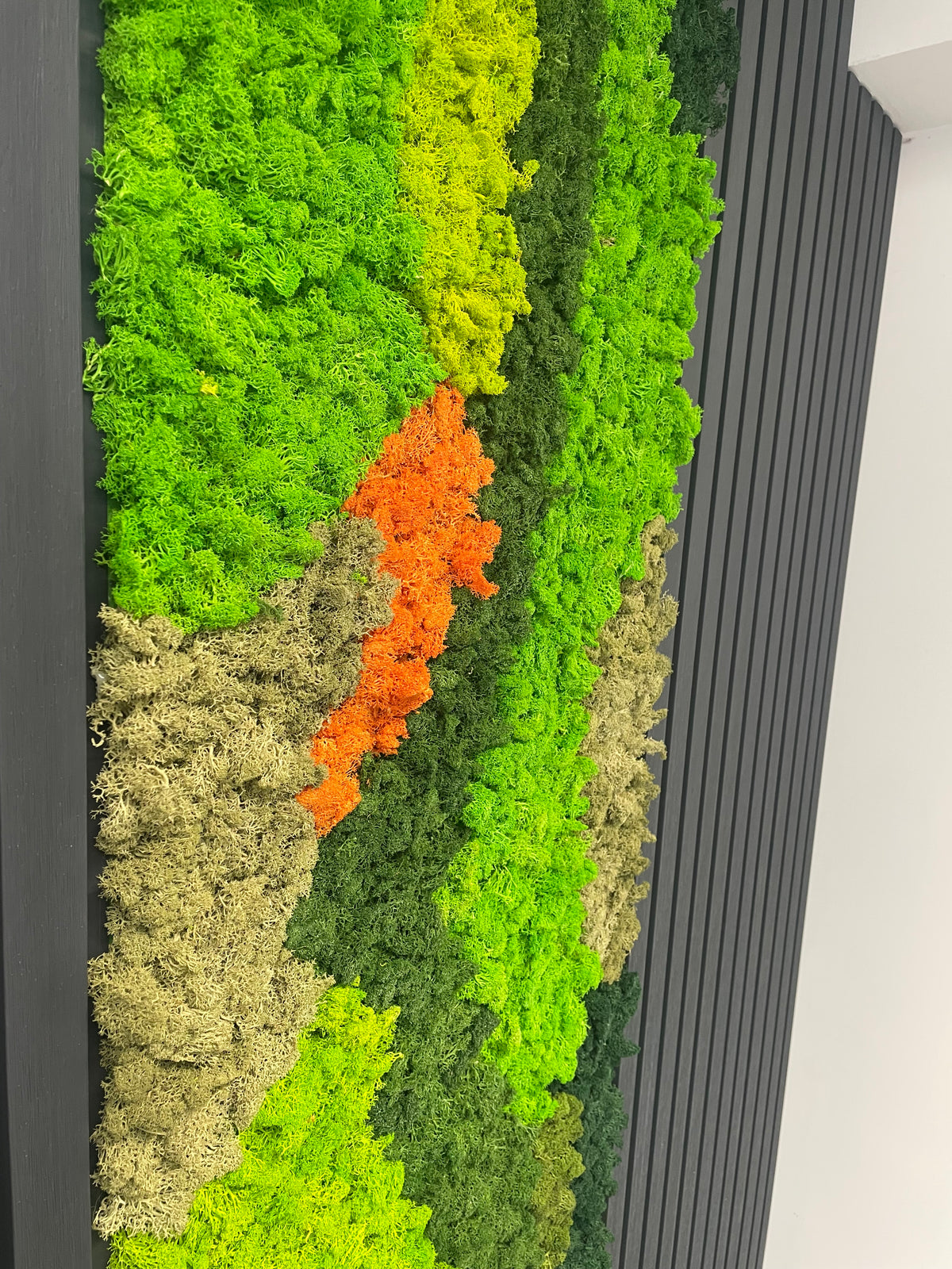 Preserved reindeer moss panel with lime green and beige bands plus orange accents on dark green.