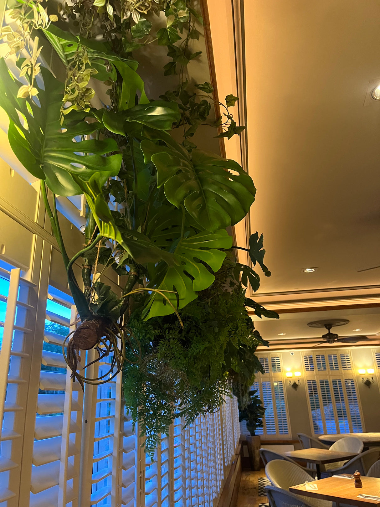 Artificial trailing pheasant tail fern kokedama in a black metal hanging frame 66cm wide 110cm height