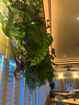 Artificial trailing pheasant tail fern kokedama in a black metal hanging frame 66cm wide 110cm height