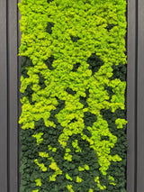 Preserved reindeer moss panel, bright lime green patches over dark green base.