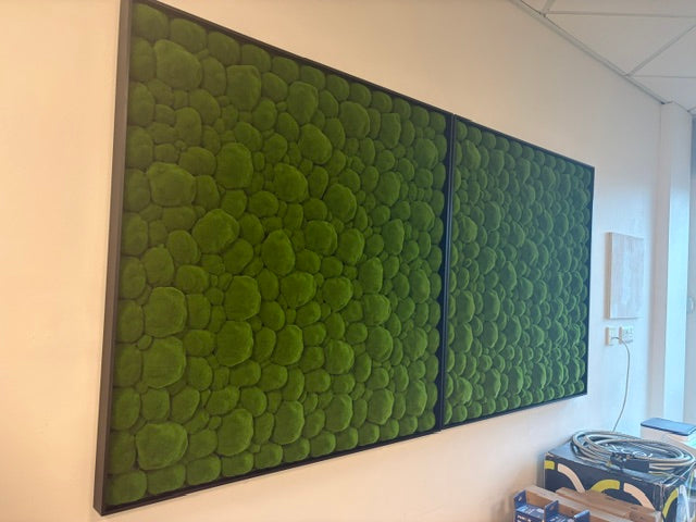 Artificial bun moss wall square art panel black aluminium - 100x100cm